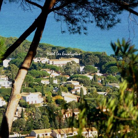 Hotel Les Eucalyptus Cavalaire-sur-Mer Exterior photo