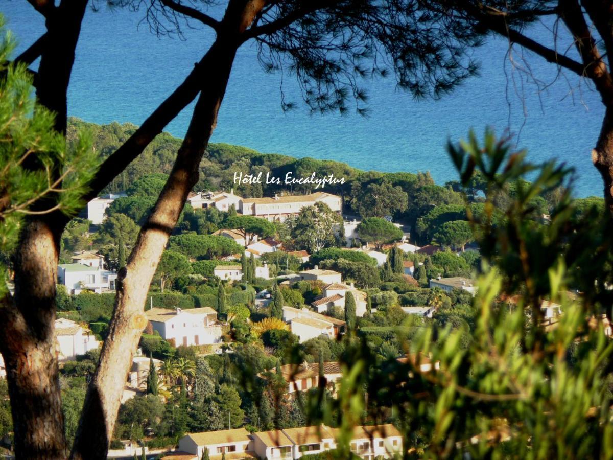 Hotel Les Eucalyptus Cavalaire-sur-Mer Exterior photo